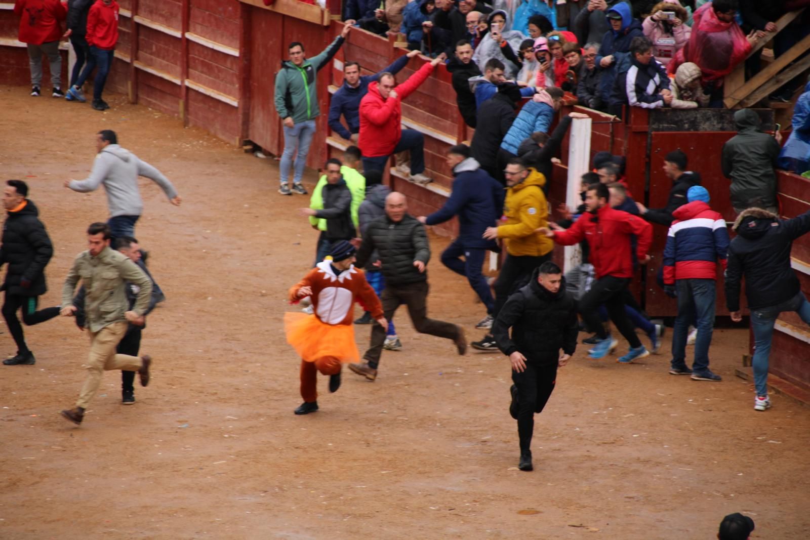 whatsapp-image-2024-02-11-at-11-41-49-17