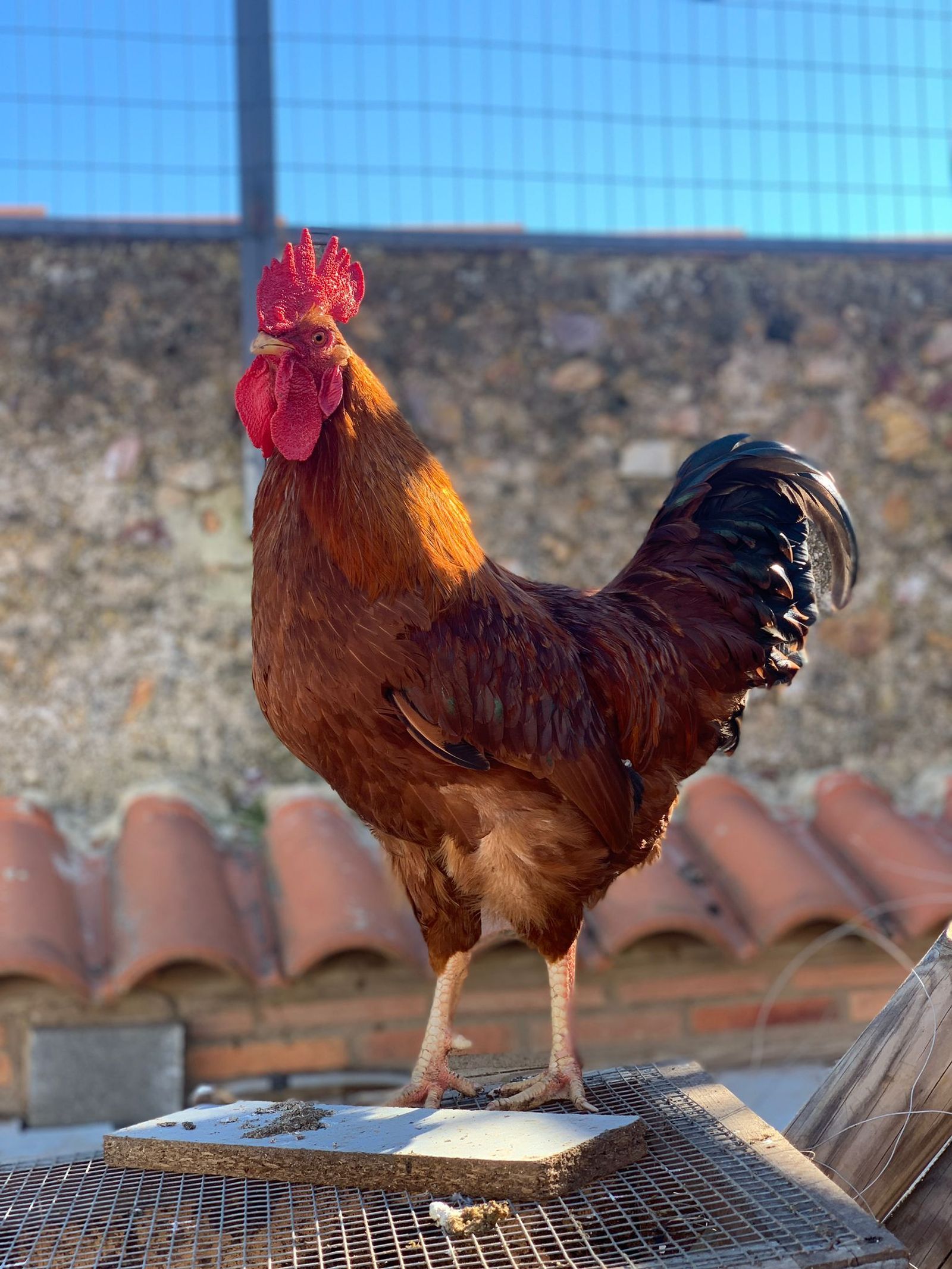 WhatsApp Image 2022 01 20 at 18.03.44