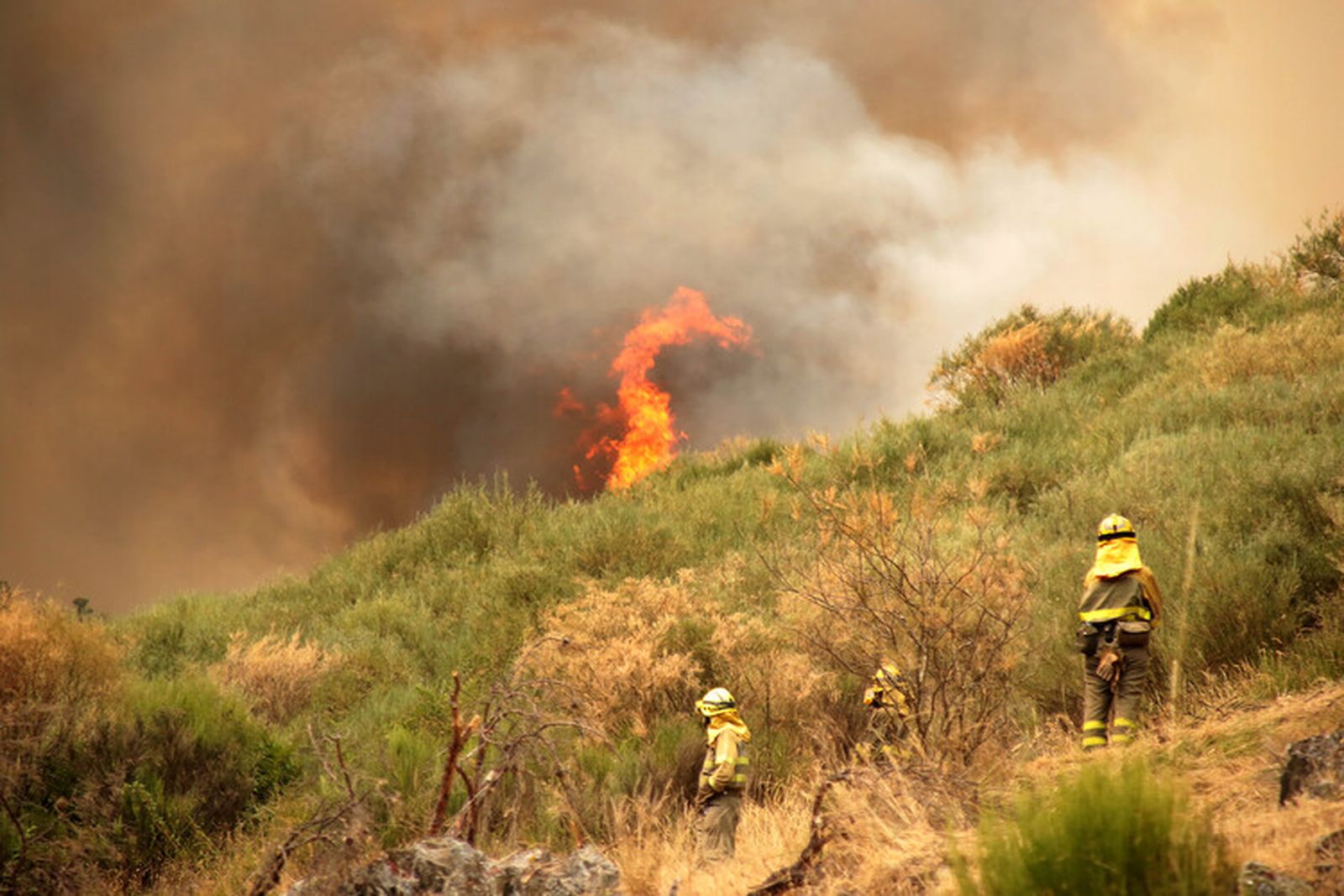Incendio de Fasgar que amenaza a las poblaciones de Villapujín, Barrio de la Puente y Posada de Omaña