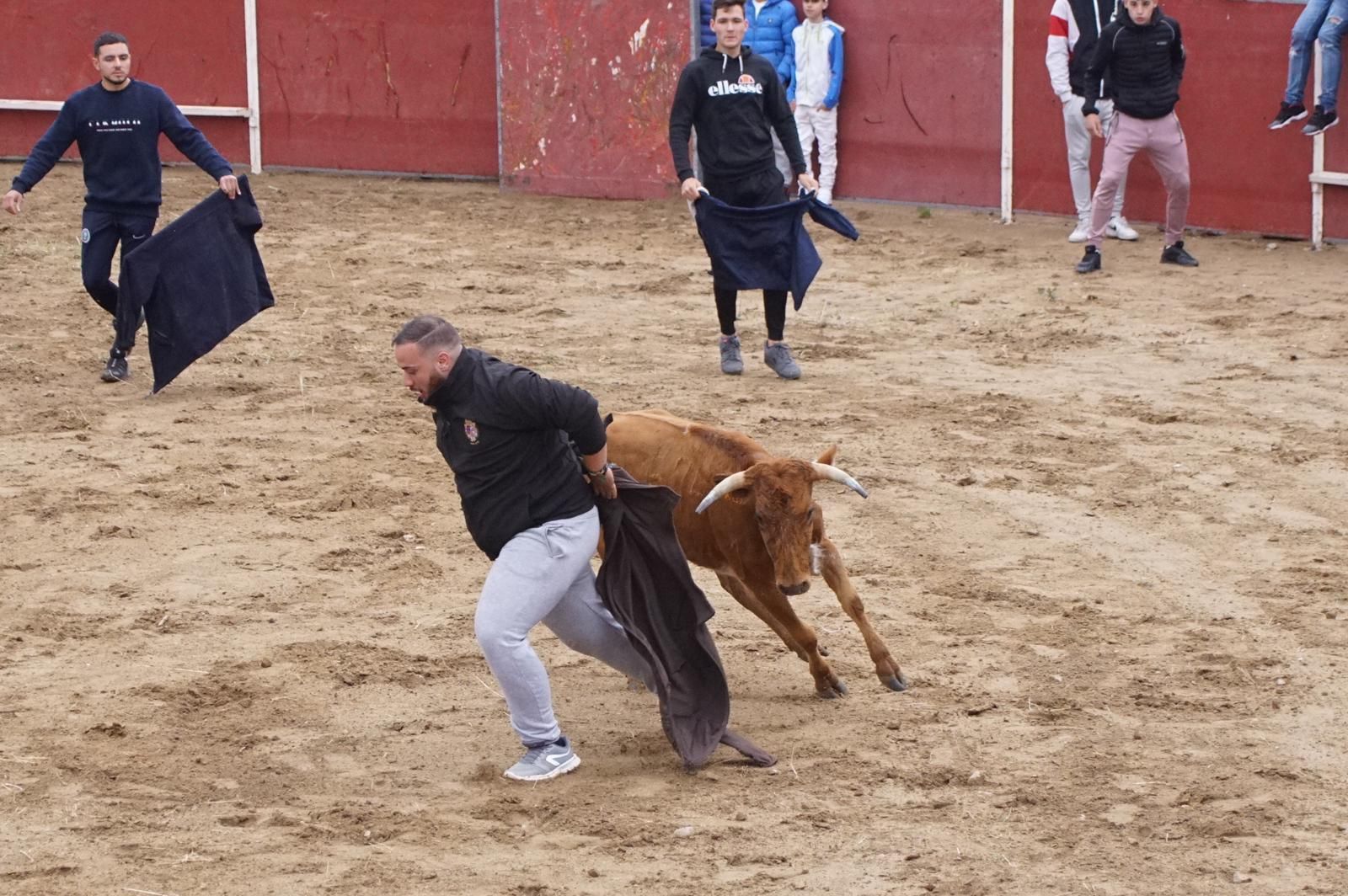 whatsapp-image-2023-05-22-at-20-19-26