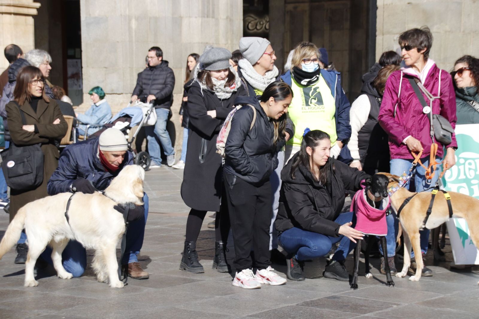 20230205121740-mg-5719