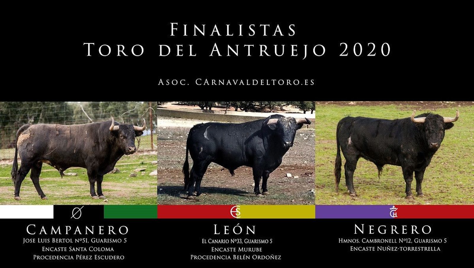 Toros antruejo 2020 2