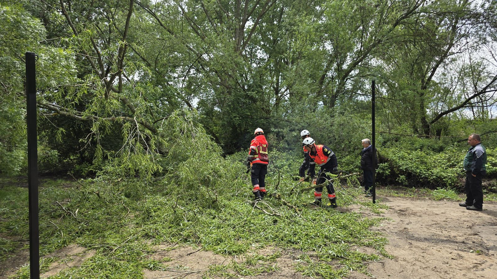 cae-un-arbol-de-granes-dimensiones-en-la-ribera-del-aldehuela-junto-a-la-zona-de-chiringuitos-fotos-andrea-m-2