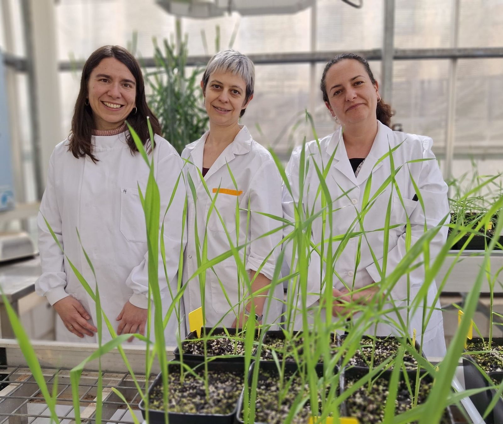 Las investigadoras que participan en el Programa Alianzas IRNASA, Carmen Sánchez Cañizares, Silvia Manrique y Carmen Escudero