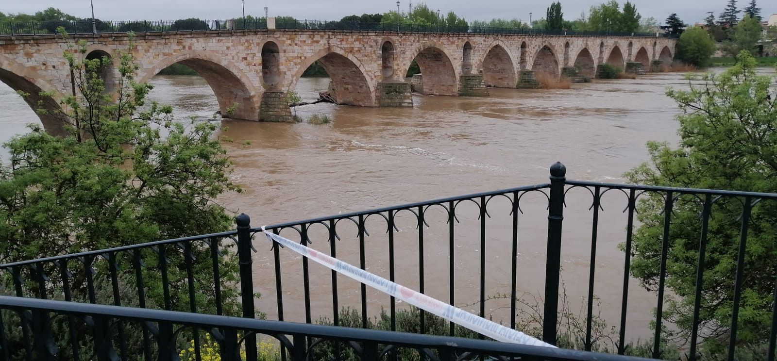 WhatsApp Image 2020 04 21 at 10.58.56