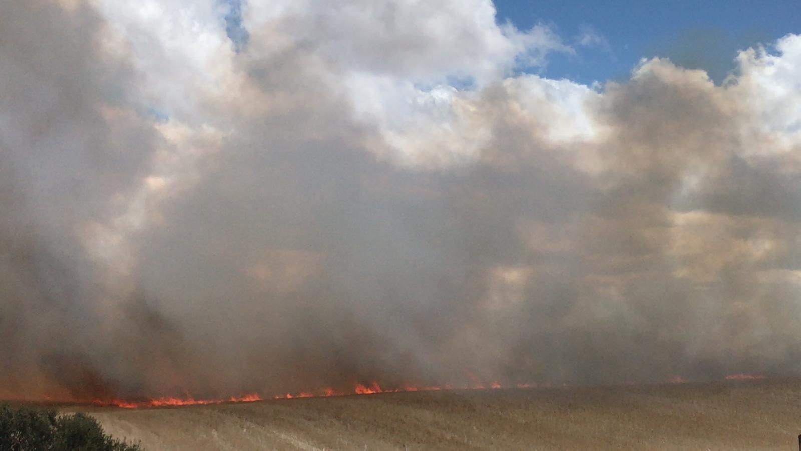 Pelabravo, escenario de un nuevo incendio forestal en Salamanca