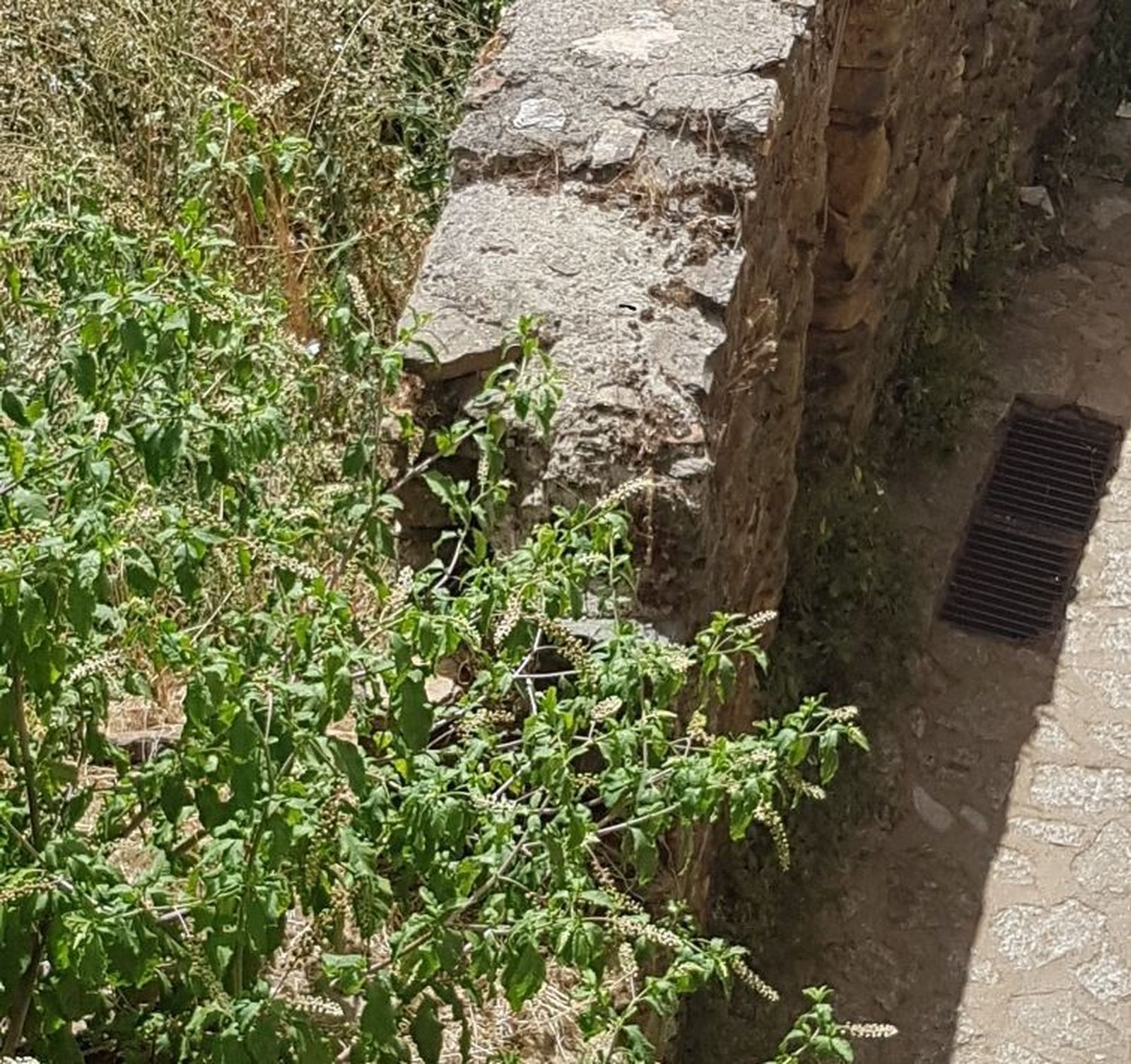 Solar sotoserrano (2)