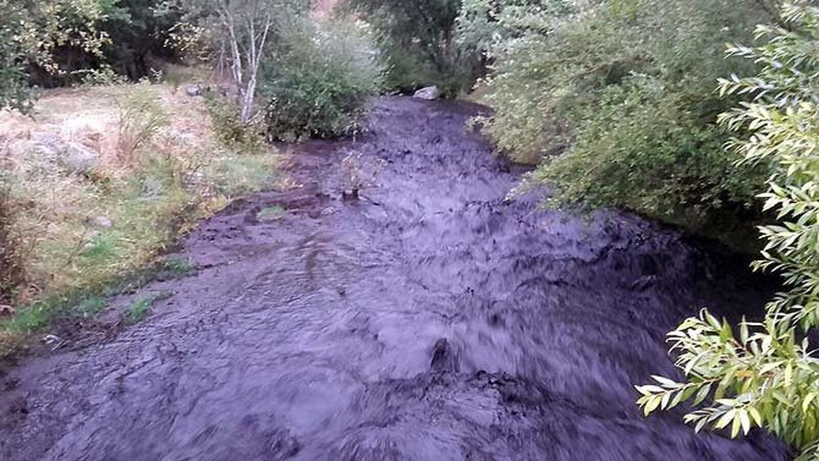 Los primeros daños del fuego