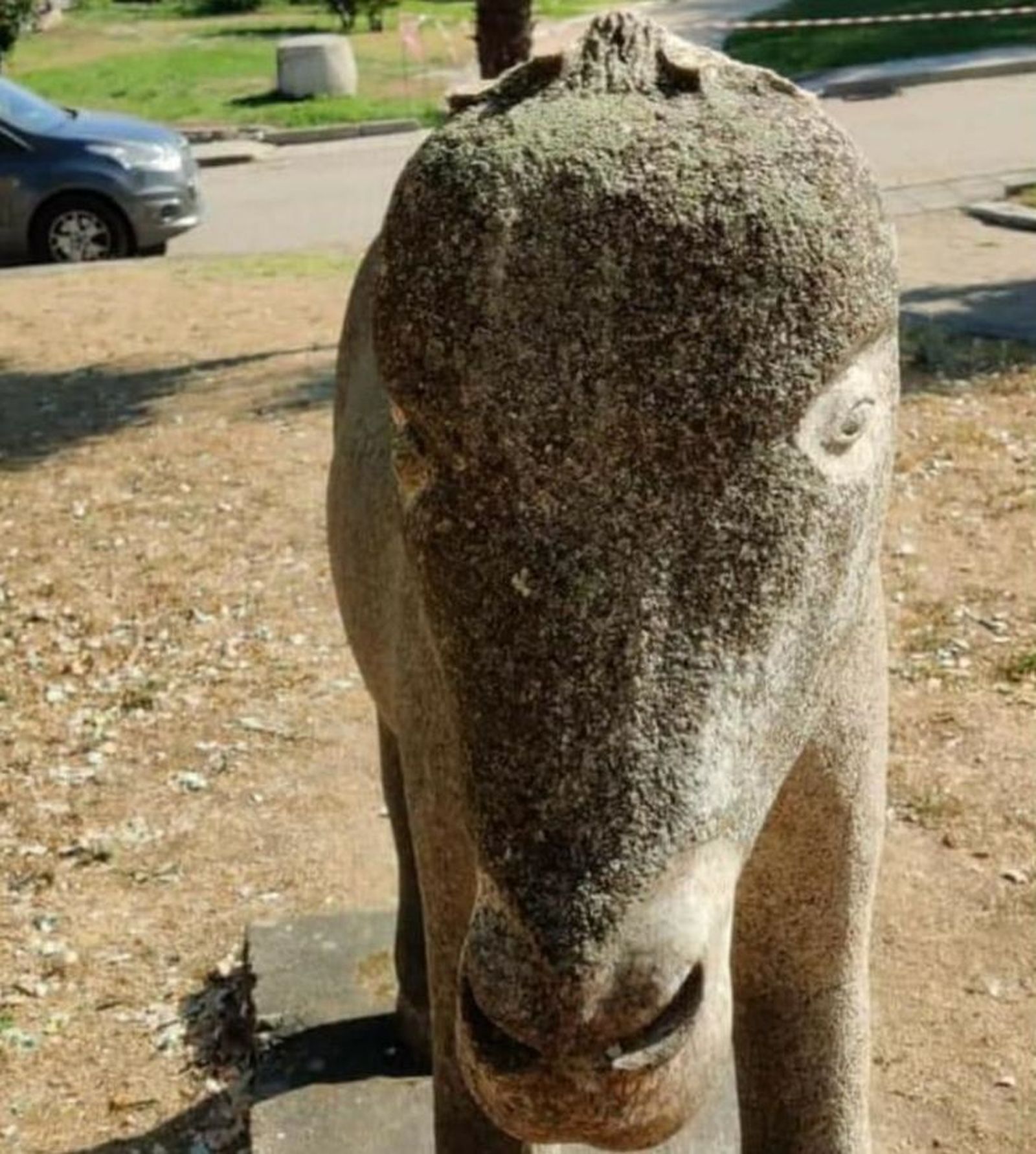 Estado en el que ha quedado el  monumento al burro de Villarino crop