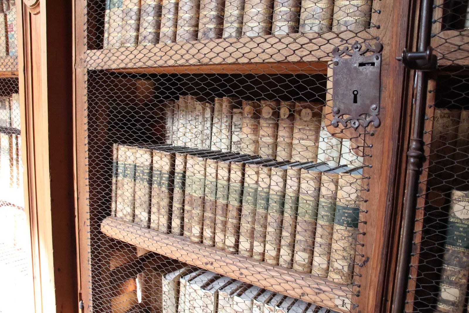 20231005104503-img-1282