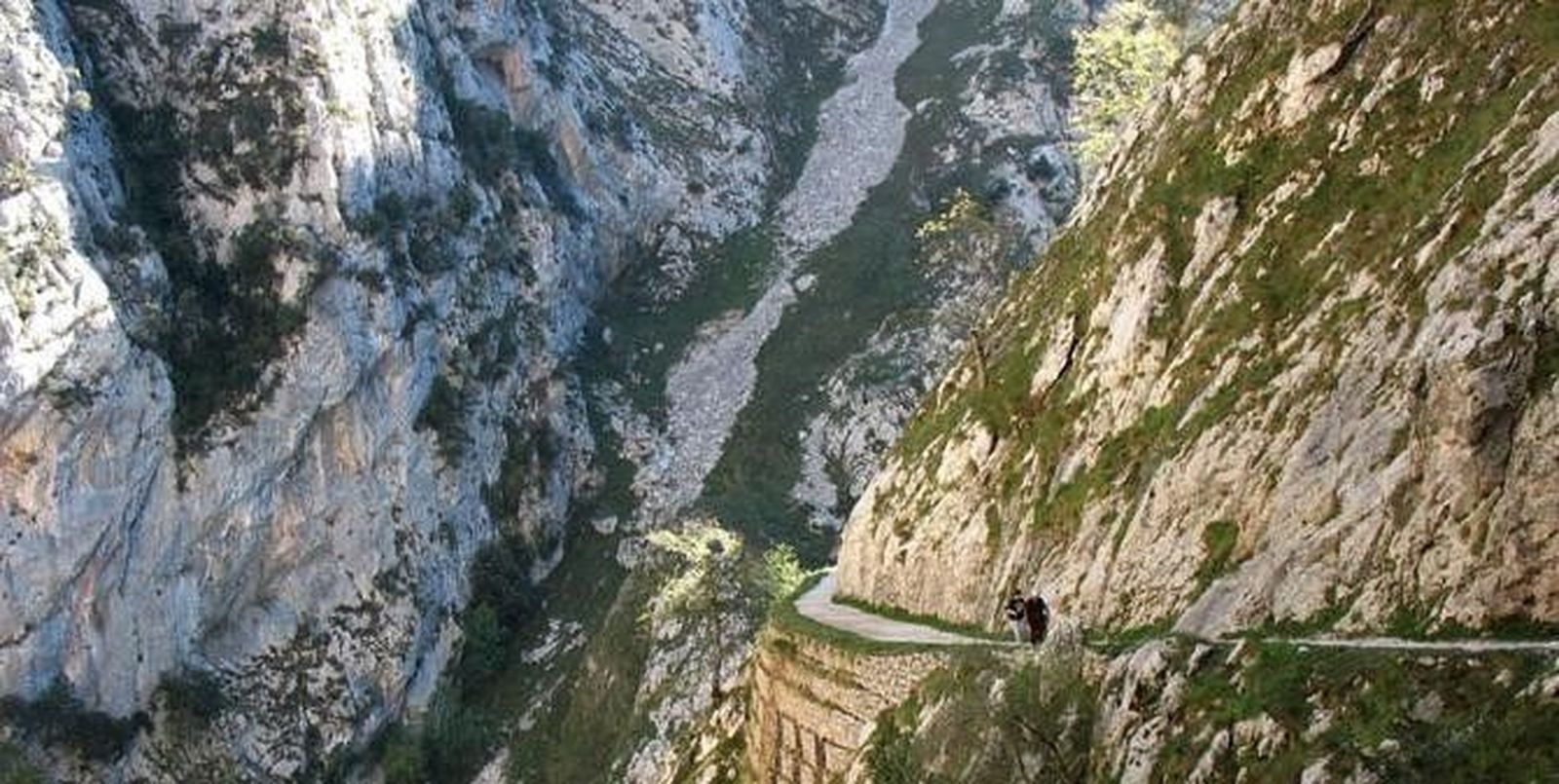 El Parque Nacional de Picos de Europa celebra el Día Mundial de los Humedales