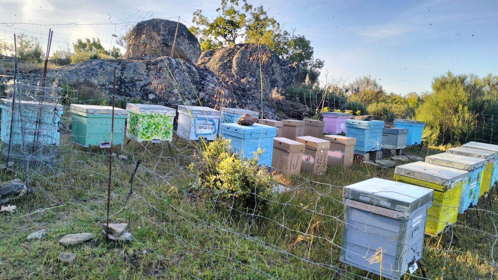 Colmenas de Isaac de Arriba en Las Arribes
