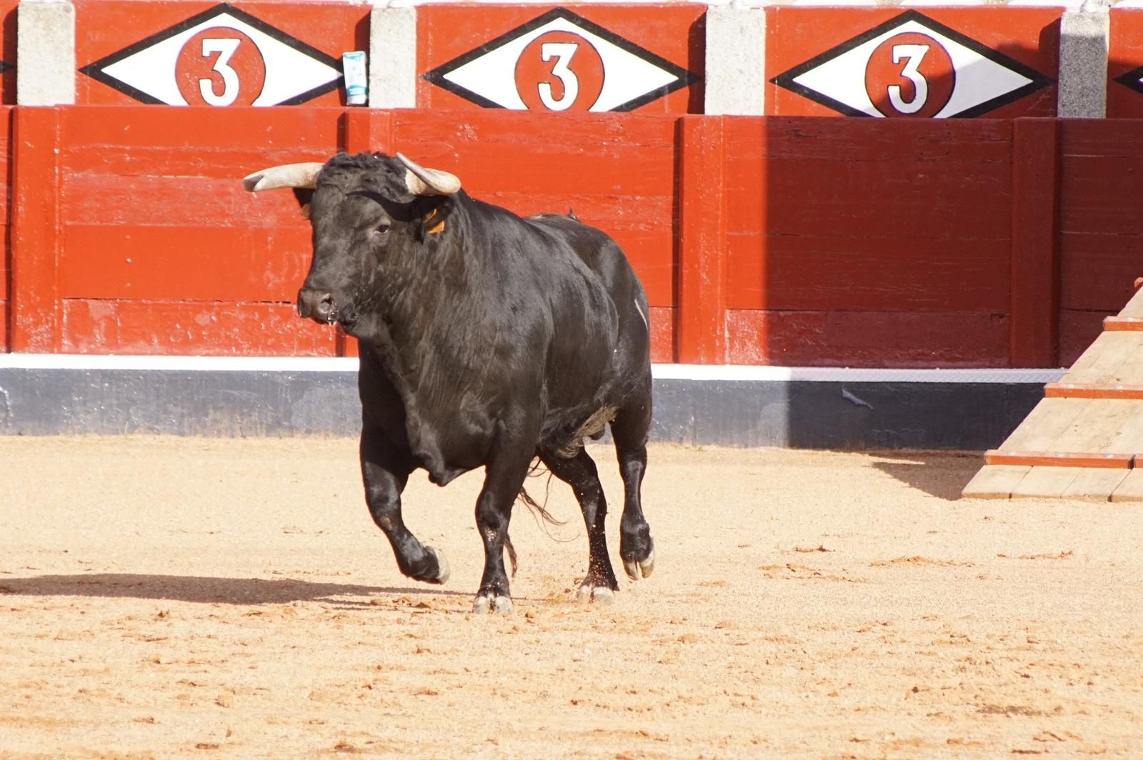 whatsapp-image-2023-09-08-at-19-29-09