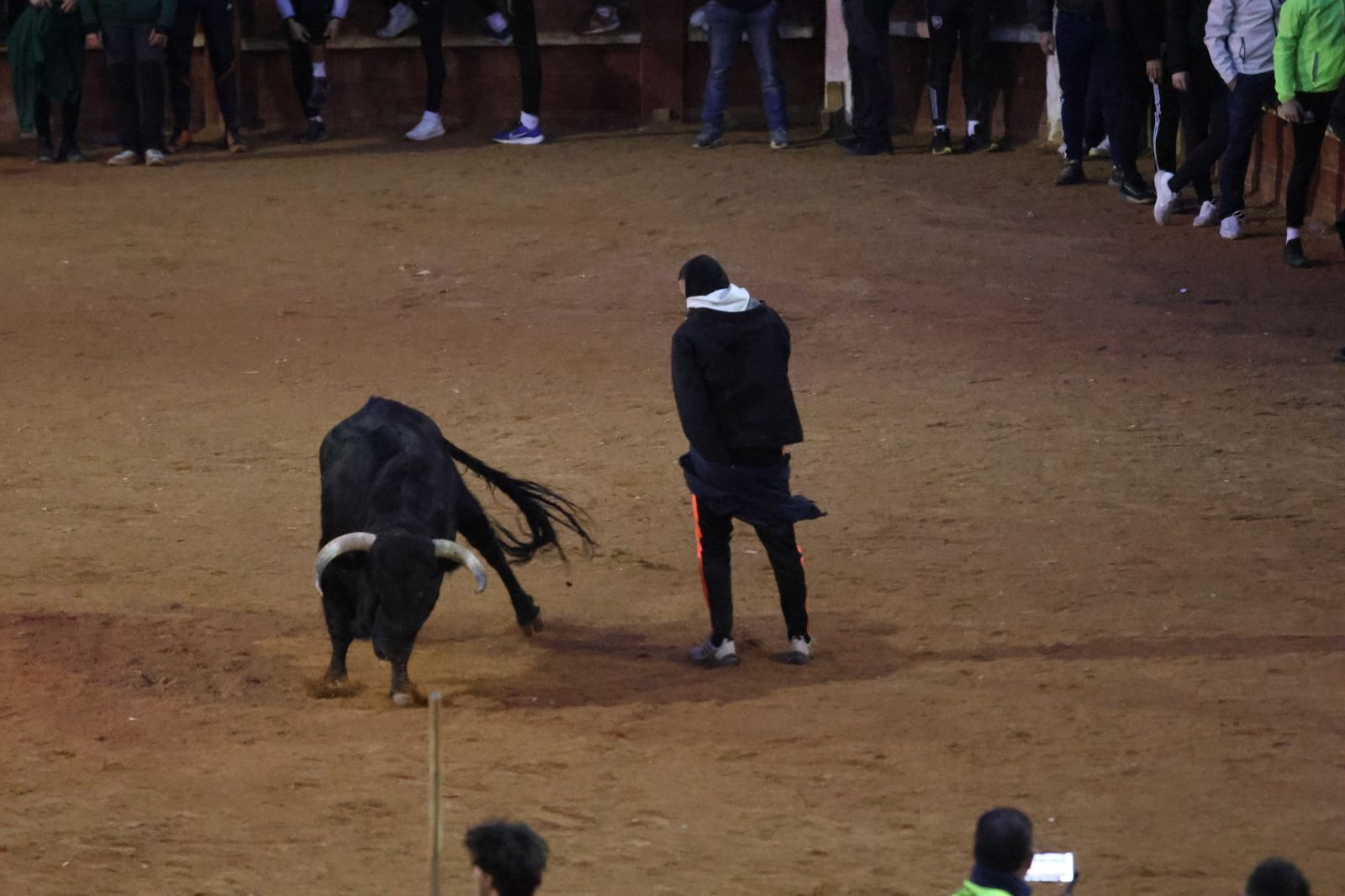 Capea y desencierro de domingo tarde en el Carnaval del Toro 2026