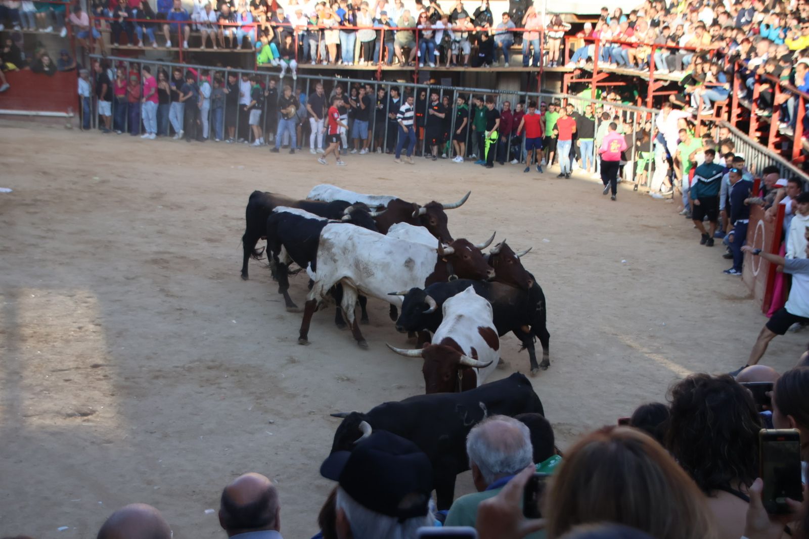 Encierro en Aldeadávila