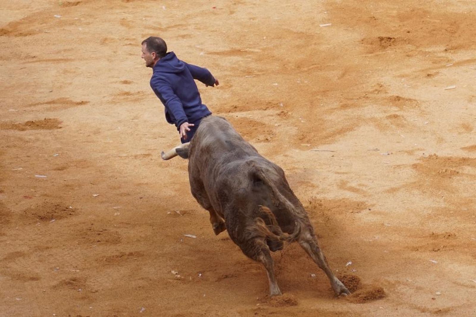 Novillada sin picadores en el Carnaval del Toro de Ciudad Rodrigo 2022 (domingo, 27 de febrero) 11