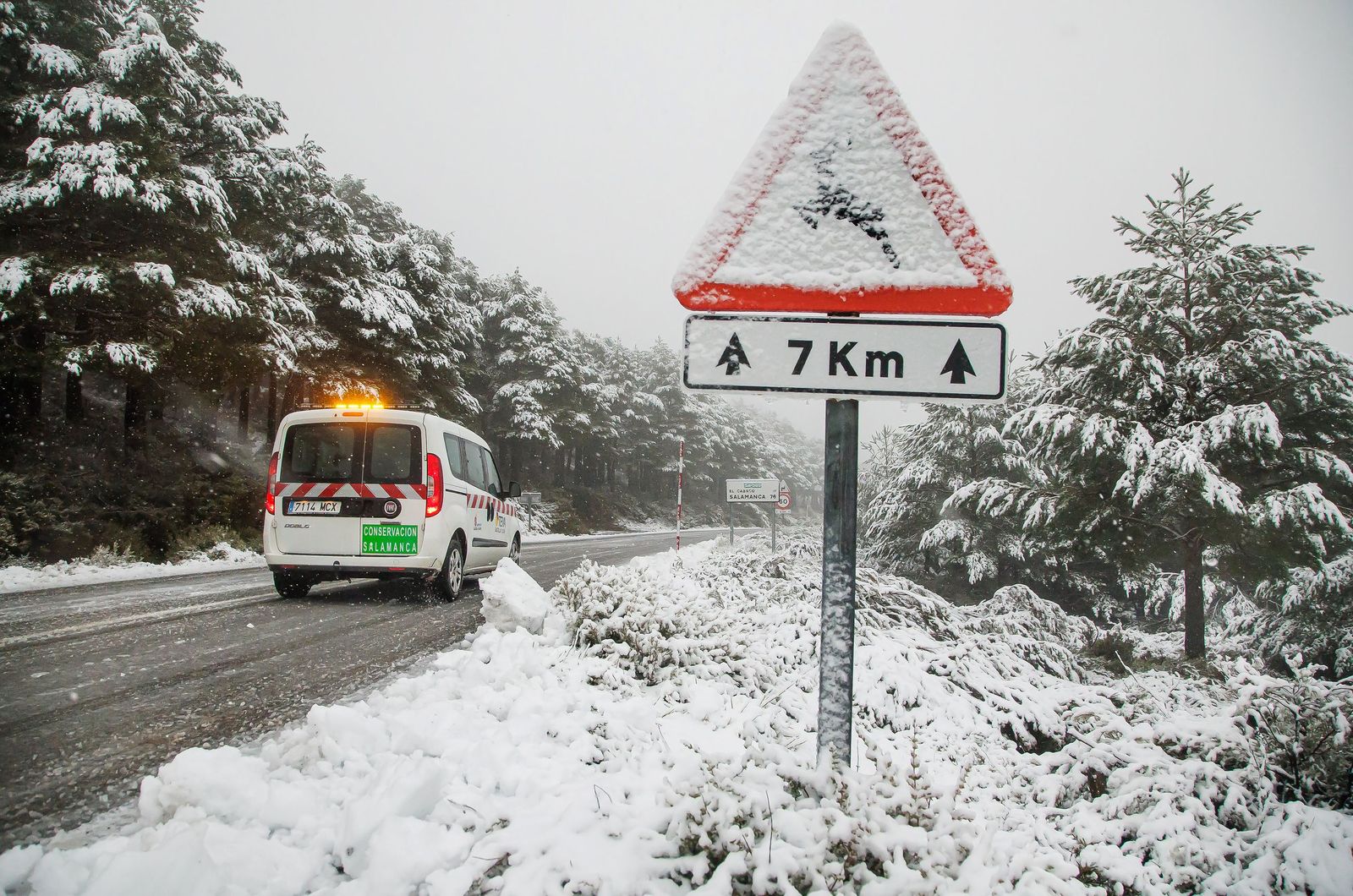 Nieve en la carretera de la Peña de Francia - José Vicente (ICAL) (7).jpg