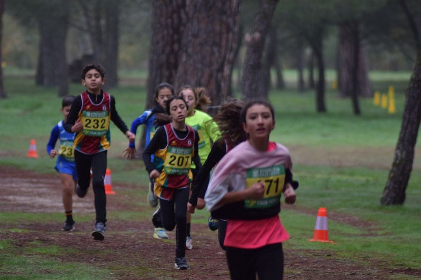 cross-de-otono-en-el-bosque-de-valorio-12