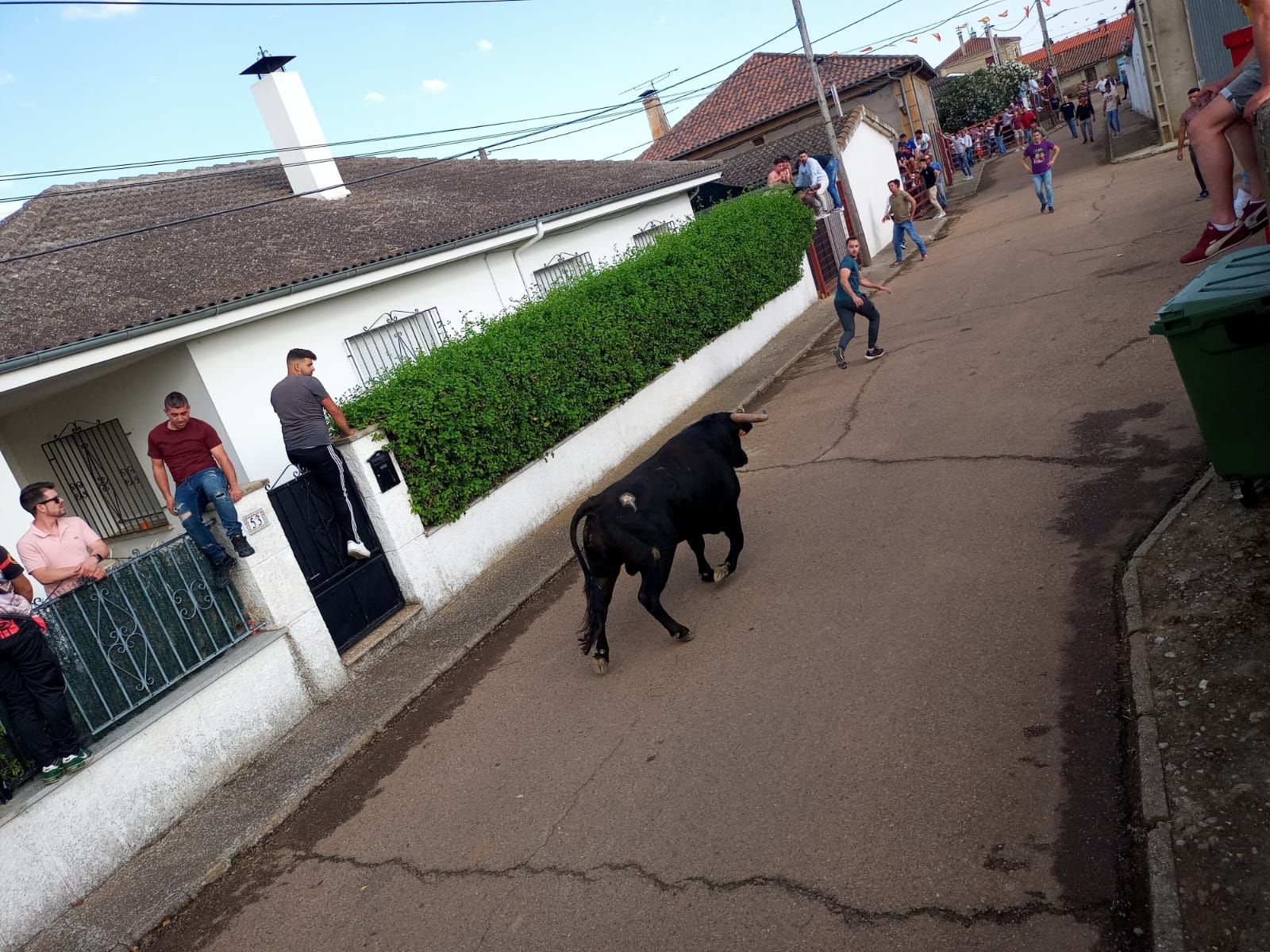 whatsapp-image-2022-05-14-at-8-08-41-pm-1