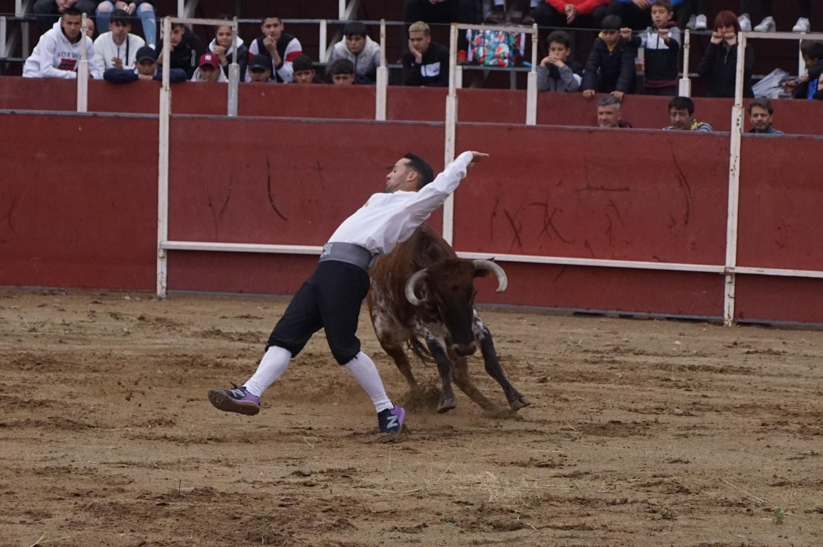 whatsapp-image-2023-05-22-at-20-19-23