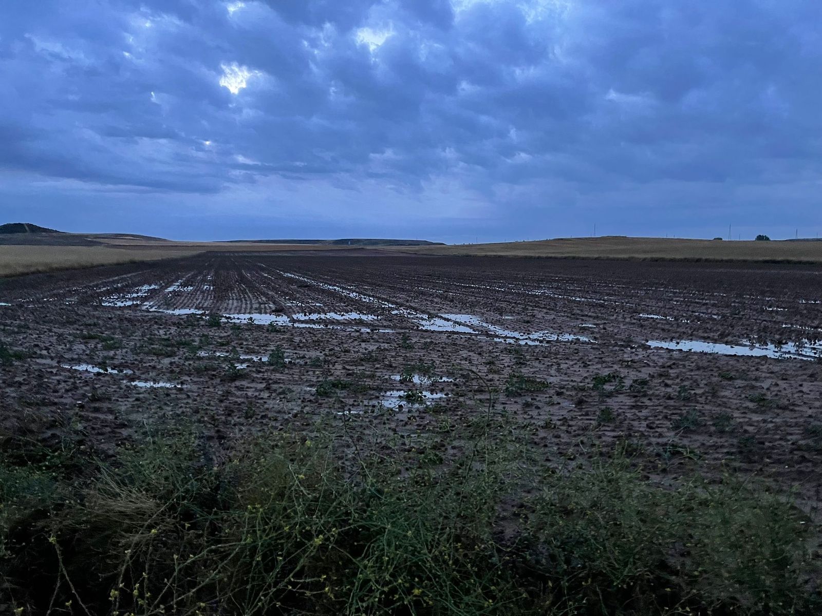 Tierras anegadas a causa de las tormentas