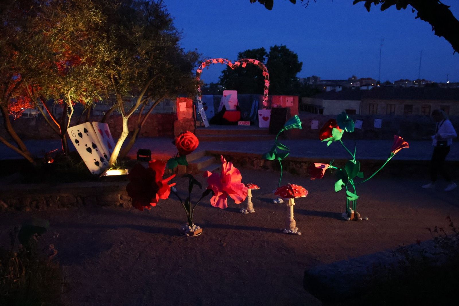 20240613212546-img-7521