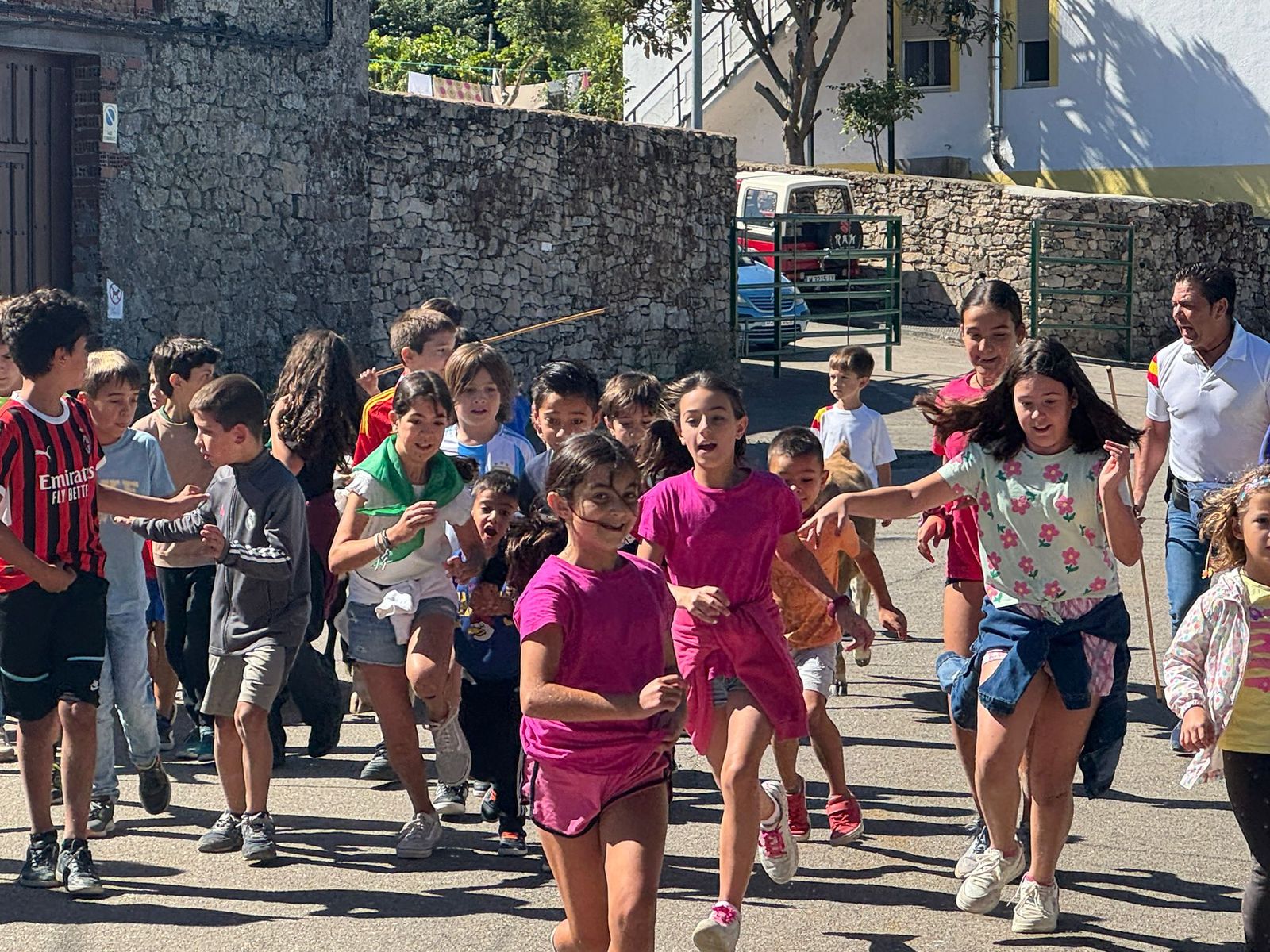 Encierro de mini bueyes en el último día de fiestas en Aldeadávila de la Ribera