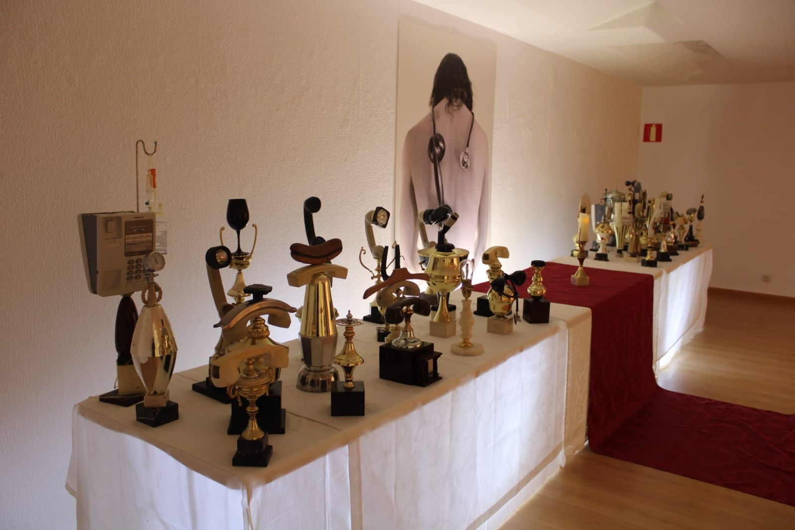 inauguracion-de-la-exposicion-la-llamada-encendida-de-jean-claude-cubino-28