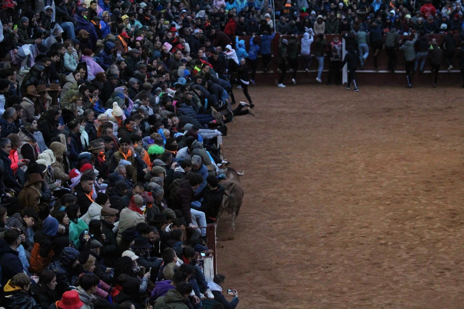 ambiente-y-capea-vespertina-sabado-de-carnaval-en-ciudad-rodrigo-2025-fotos-belen-hurtado-45