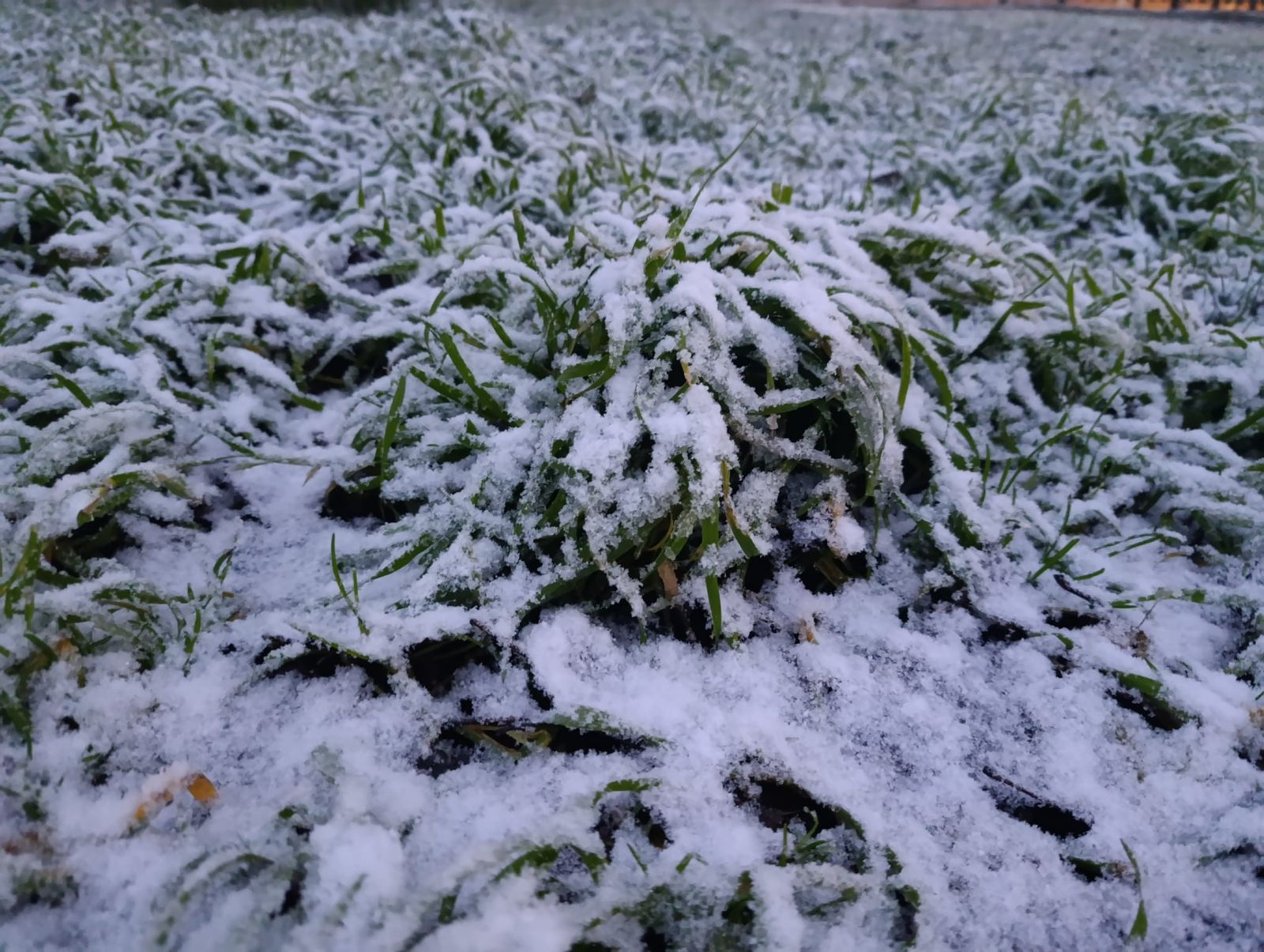 Nieve en Zamora capital este miércoles