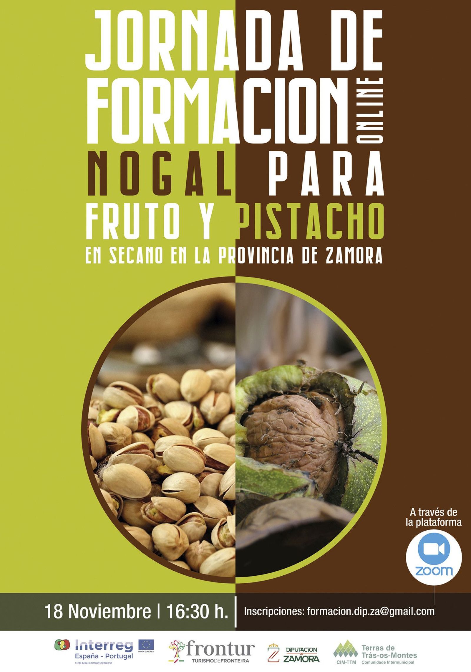 Jornadas pistacho y nogal baja