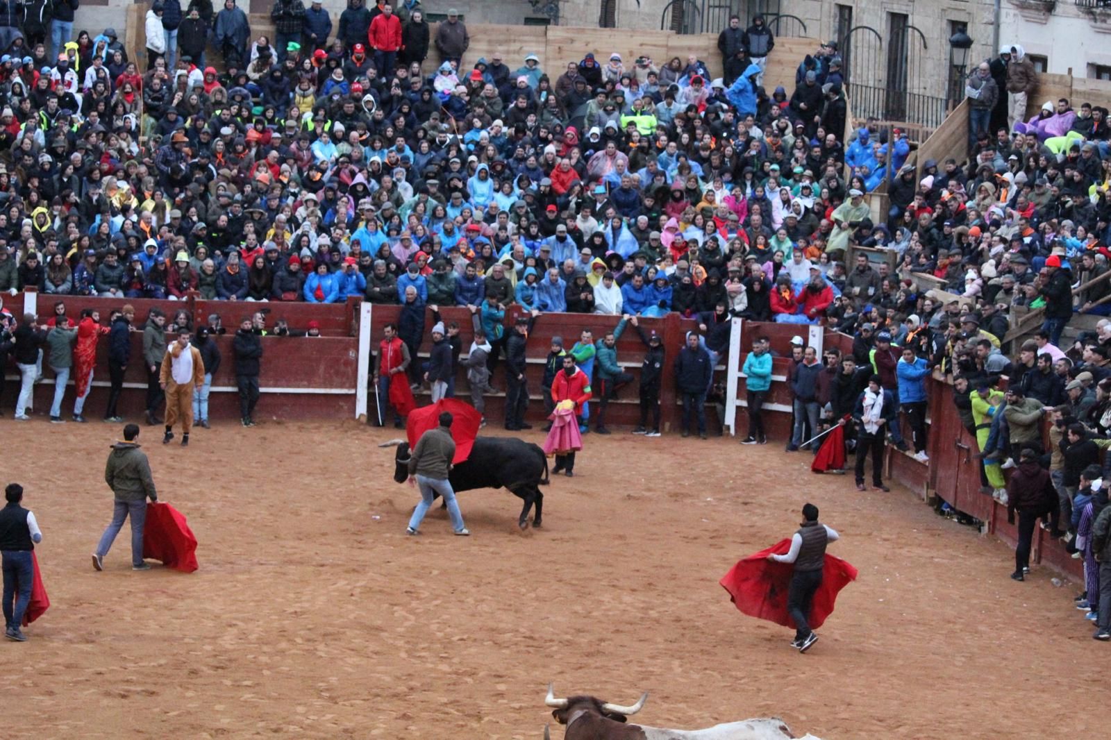 ambiente-y-capea-vespertina-sabado-de-carnaval-en-ciudad-rodrigo-2025-fotos-belen-hurtado-22