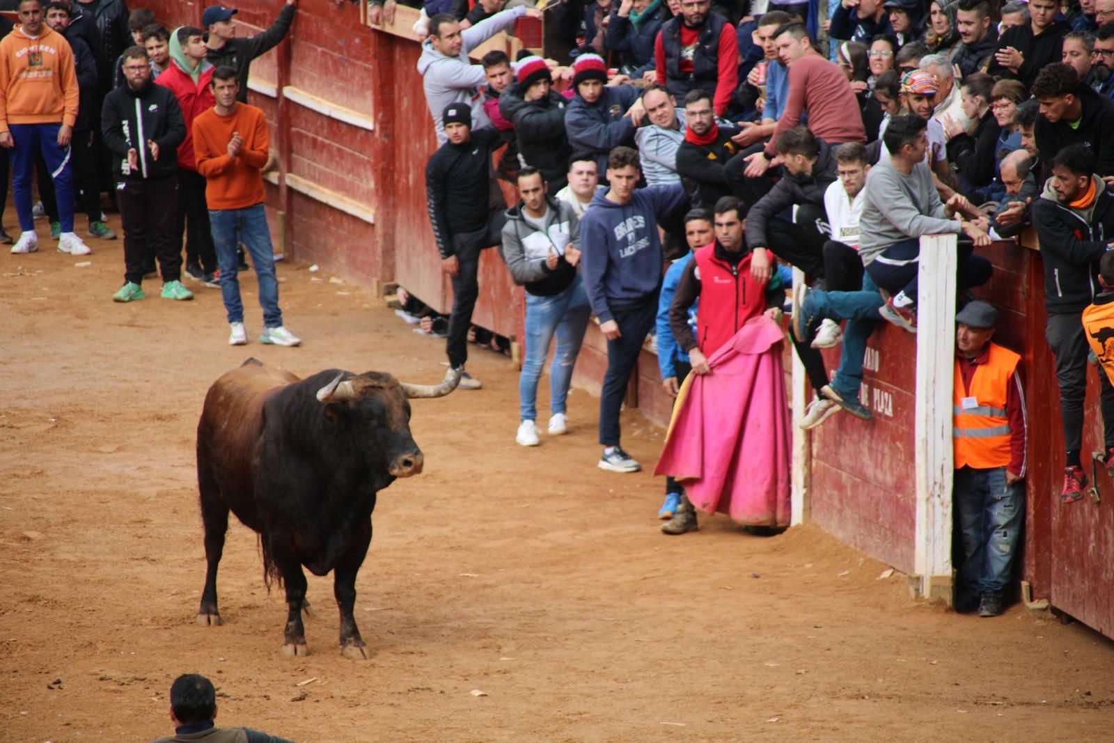 capea-matutina-del-martes-de-carnaval-45