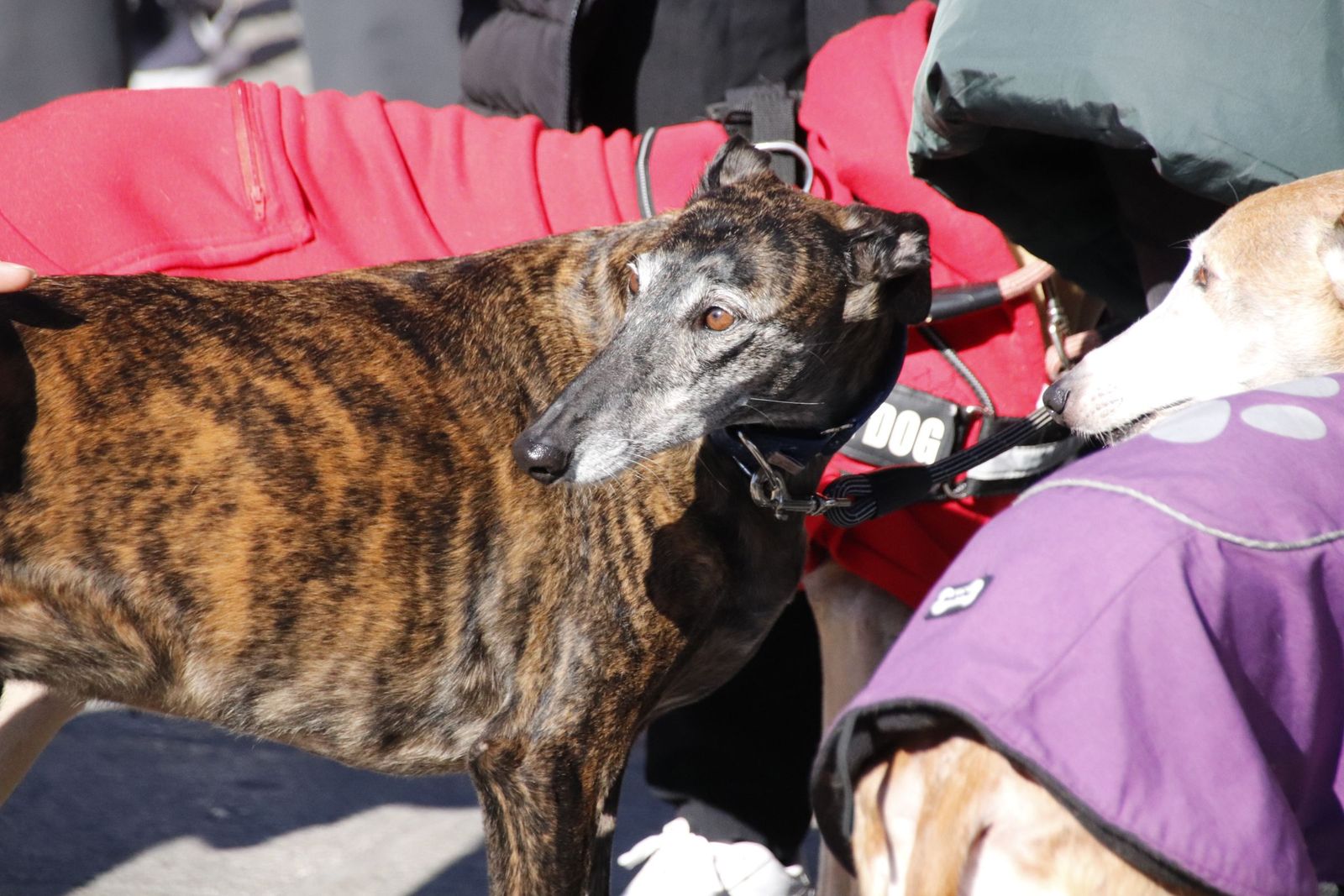 20230205121018-mg-5678