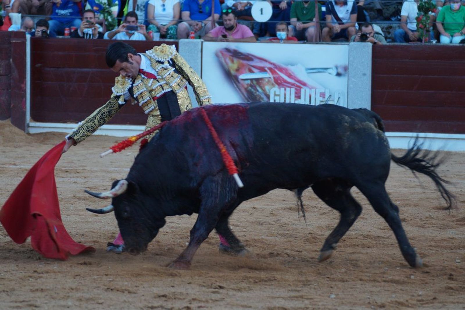 guijuelo-toros-el-puerto-de-san-lorenzo-32
