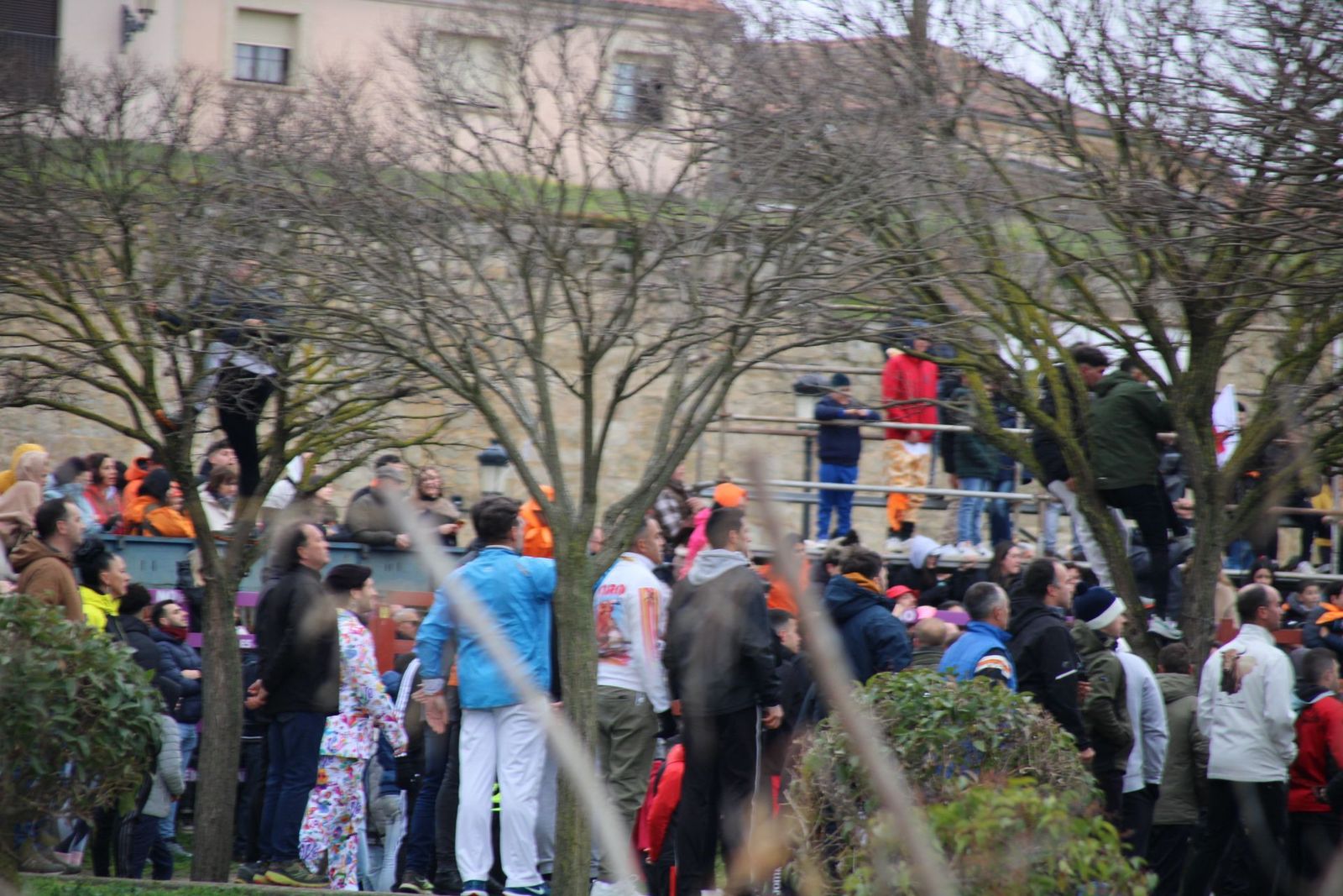 whatsapp-image-2025-03-01-at-11-53-53