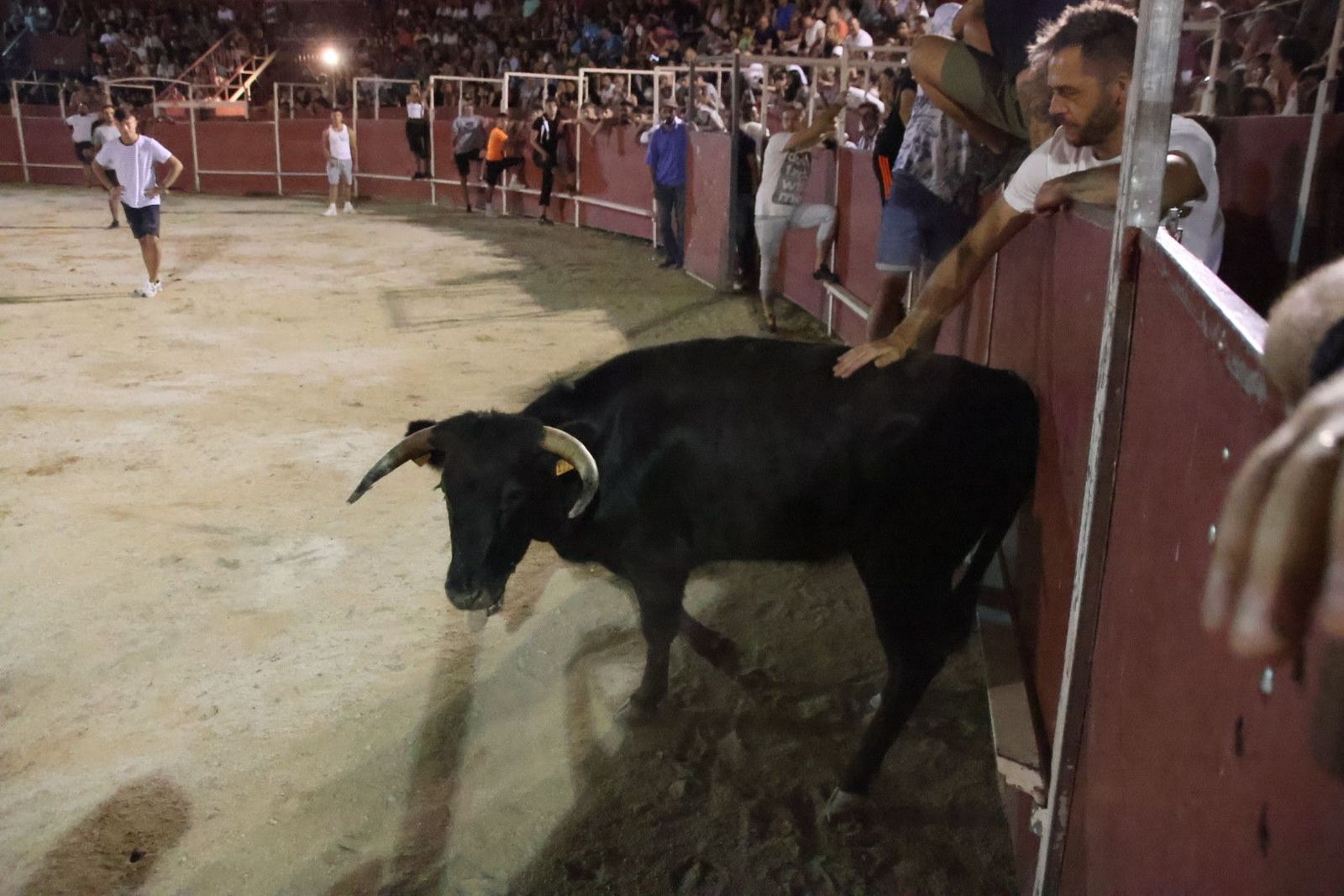 20230812212639-img-1257