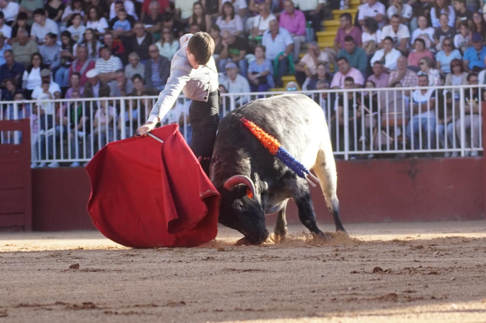 whatsapp-image-2024-09-07-at-20-48-15-4