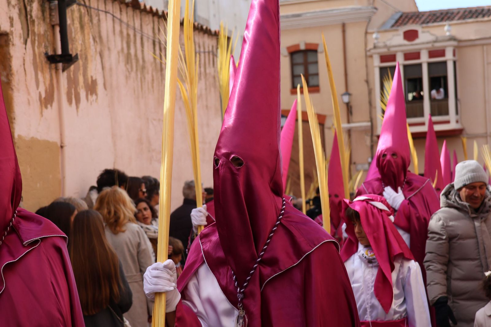 GALERÍA | Revive en imágenes la procesión de La Borriquita