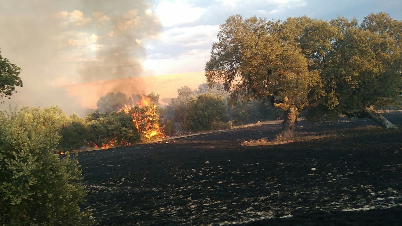 Incendio en Pedrosillo de Alba