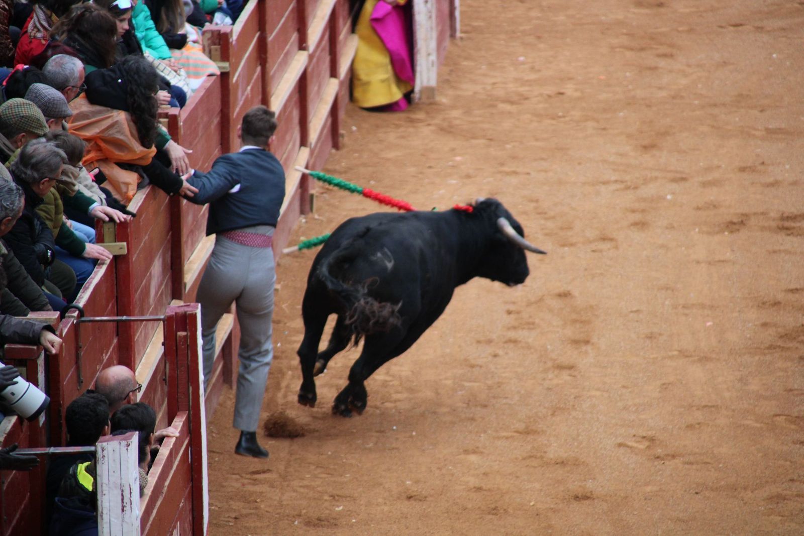 whatsapp-image-2025-03-02-at-18-54-10