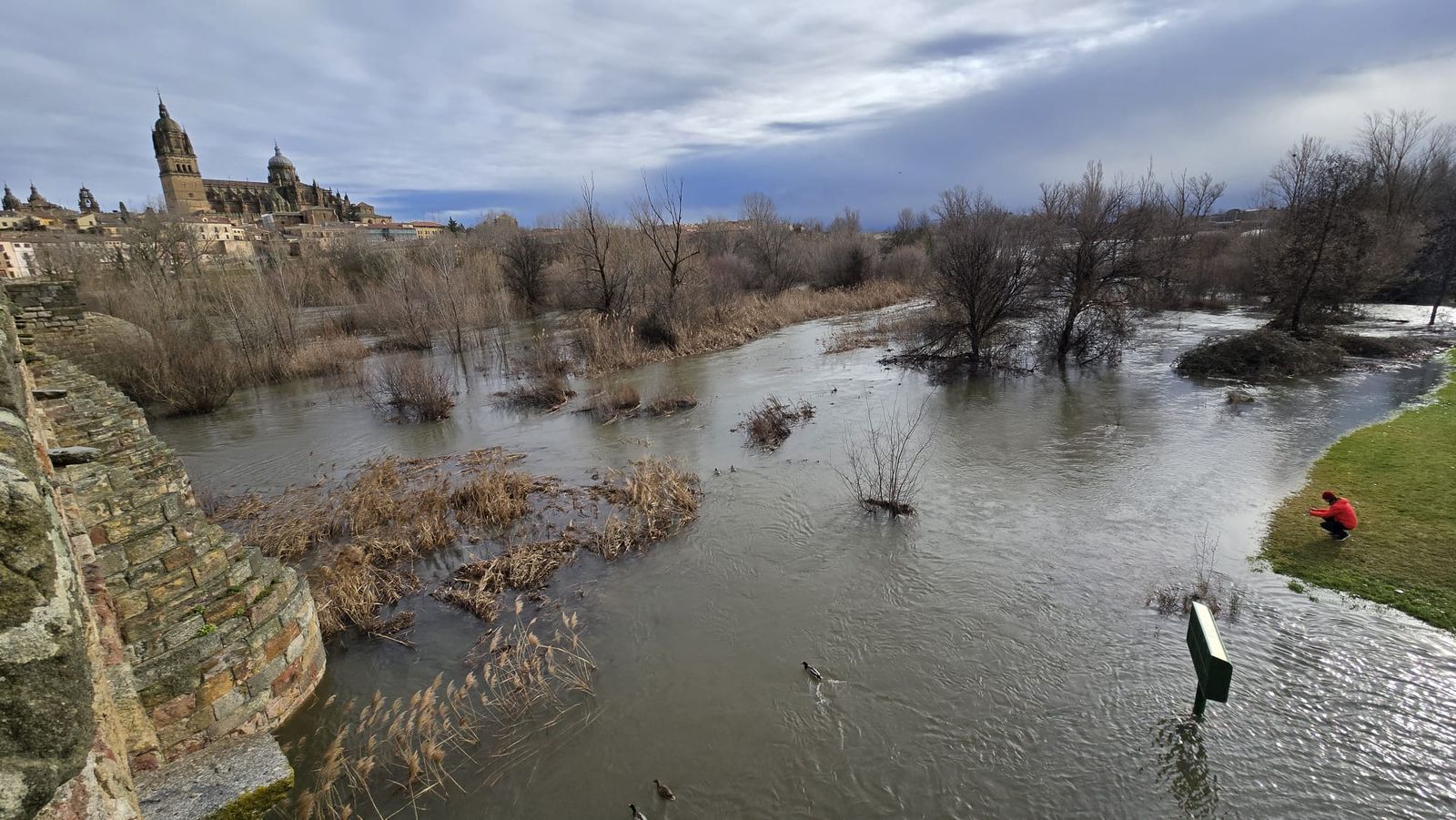 Inundada la ribera del Tormes a su paso por Salamanca por las fuertes lluvias