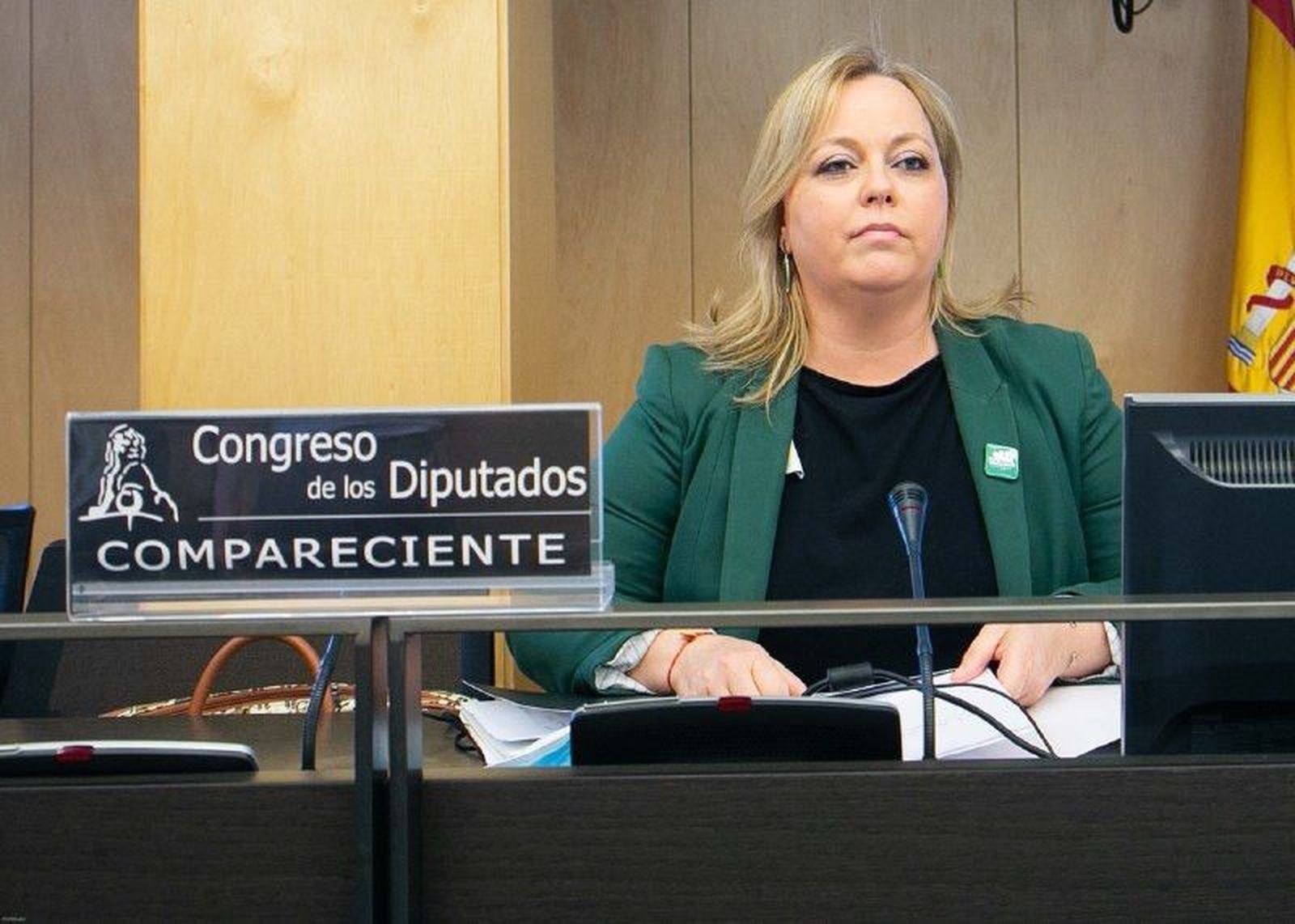 Mari Carmen Morillas, de la Confederación Española de Asociaciones de Madres y Padres del Alumnado (CEAPA), este lunes 8 de junio en el Congreso.