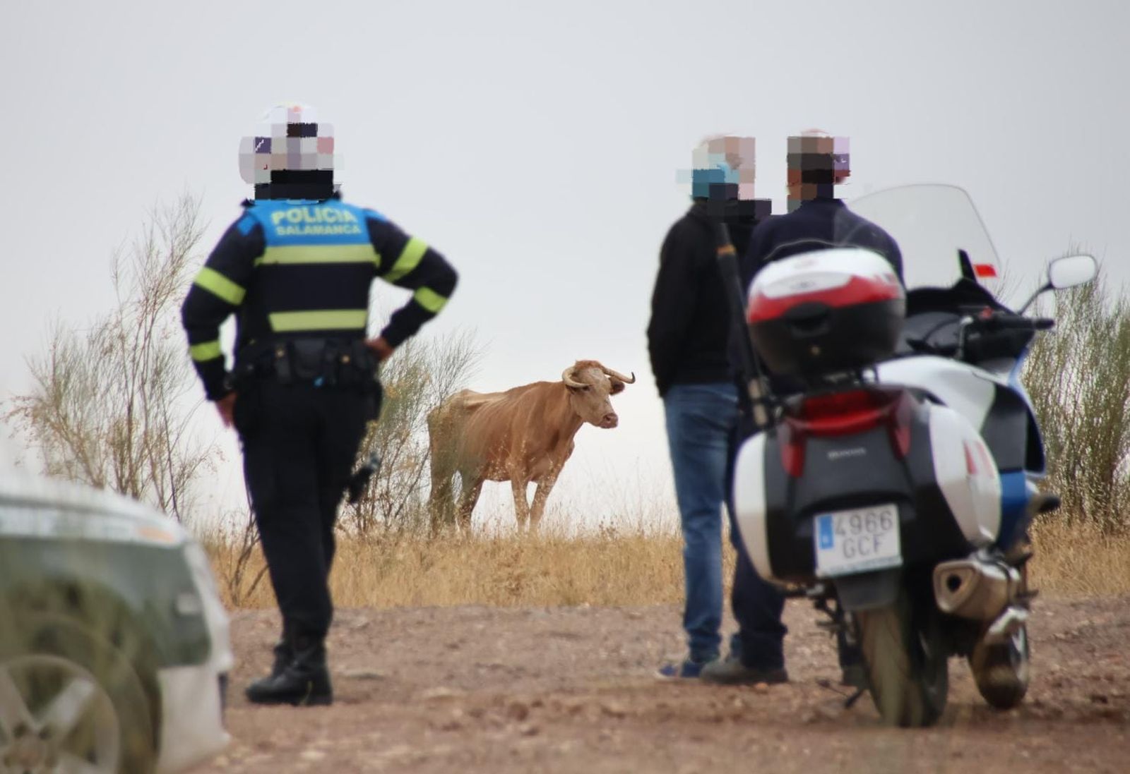 e829dd45-1457-4713-8b0b-4a4de4d73995