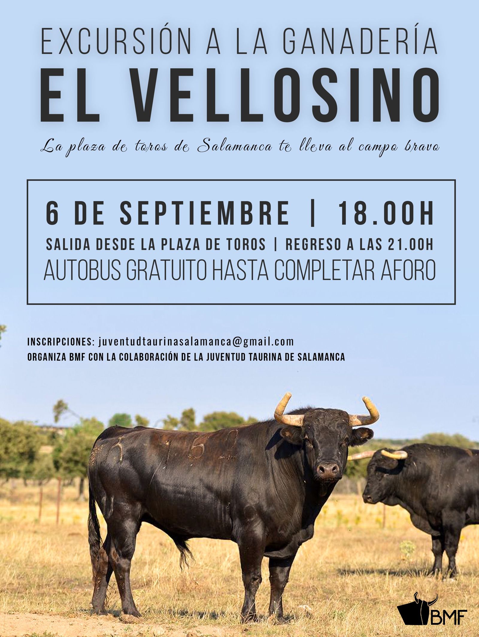 cartel vellosino copia (1)