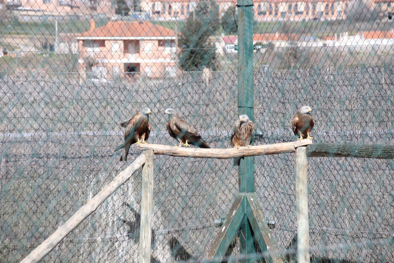 20230304152516-img-1681