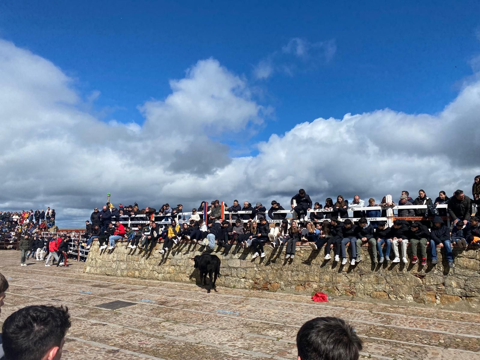 suelta-de-vaquillas-por-el-domingo-de-pinata-en-ciudad-rodrigo-9-de-marzo-de-2025-19