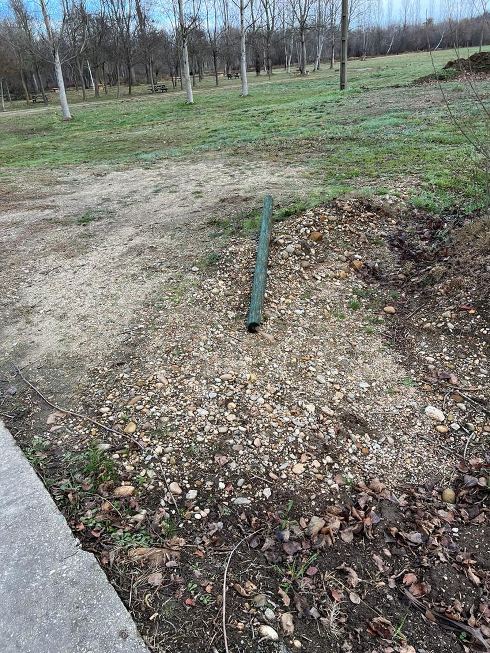 whatsapp-image-2024-01-04-at-13-16-42