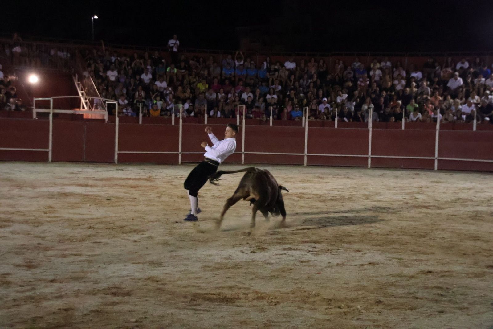 20230814214728-img-2150