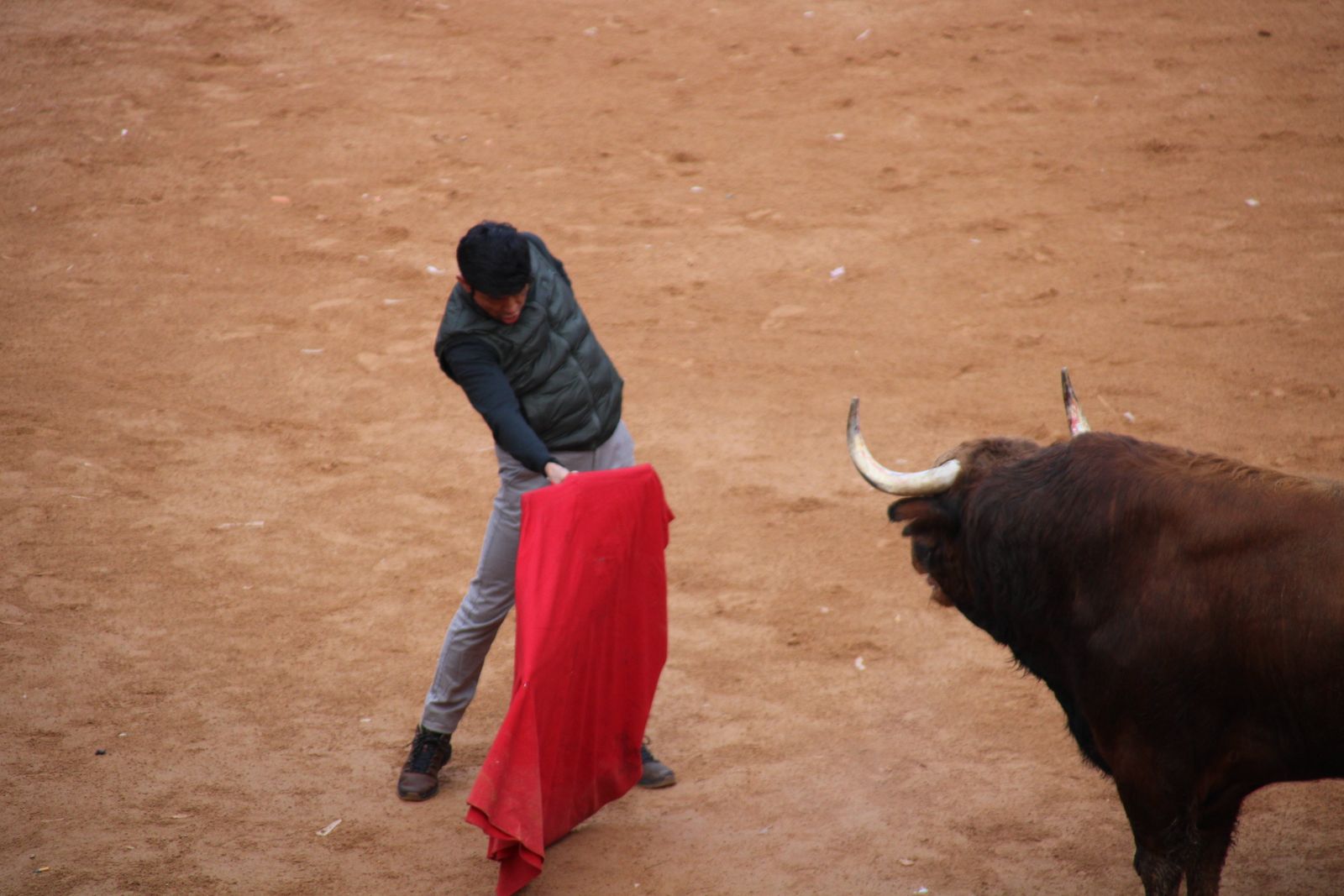 Toro del aguardiente en la mañana de martes del Carnaval del Toro 2026